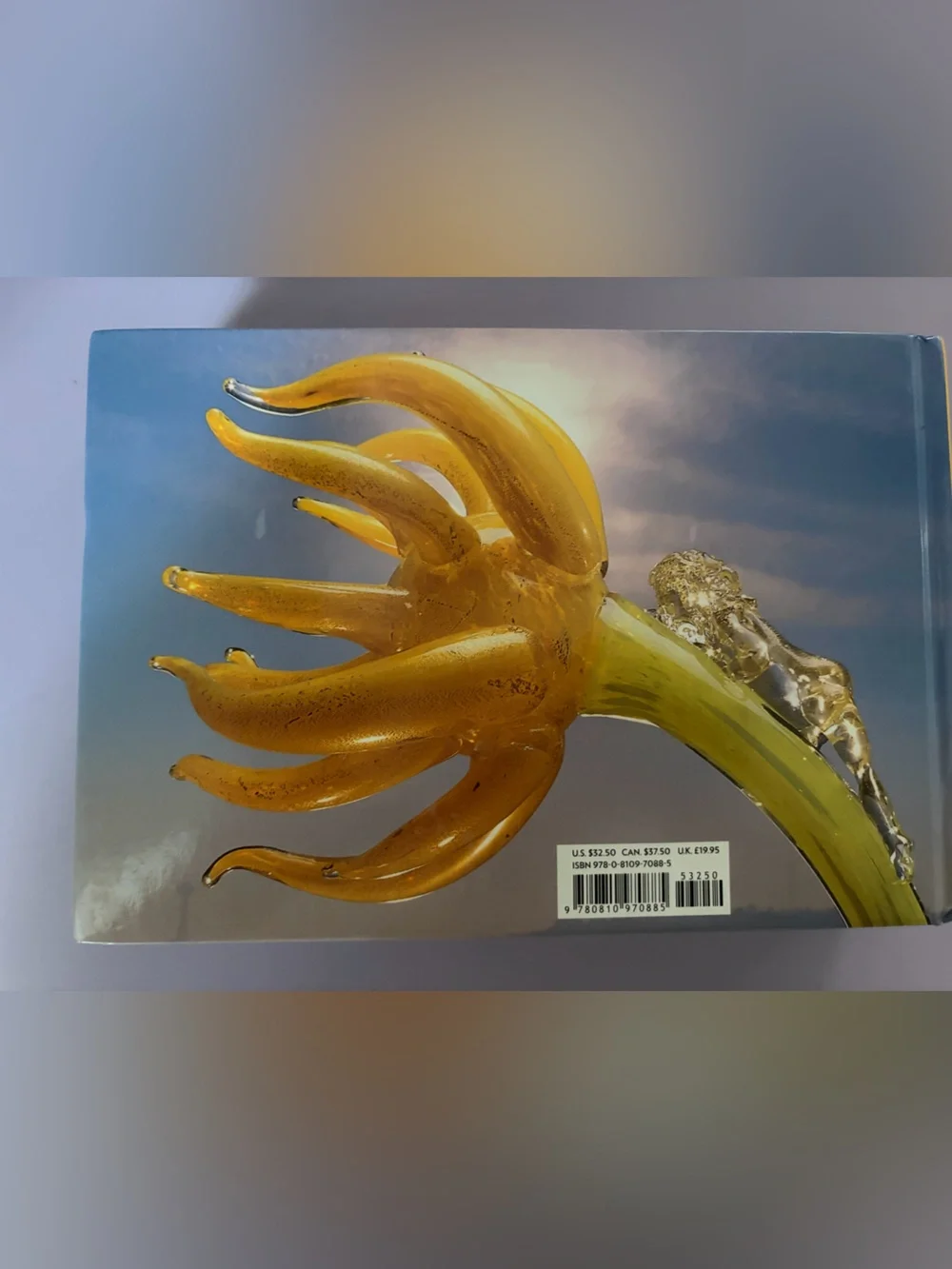 Chihuly: 365 Days Book